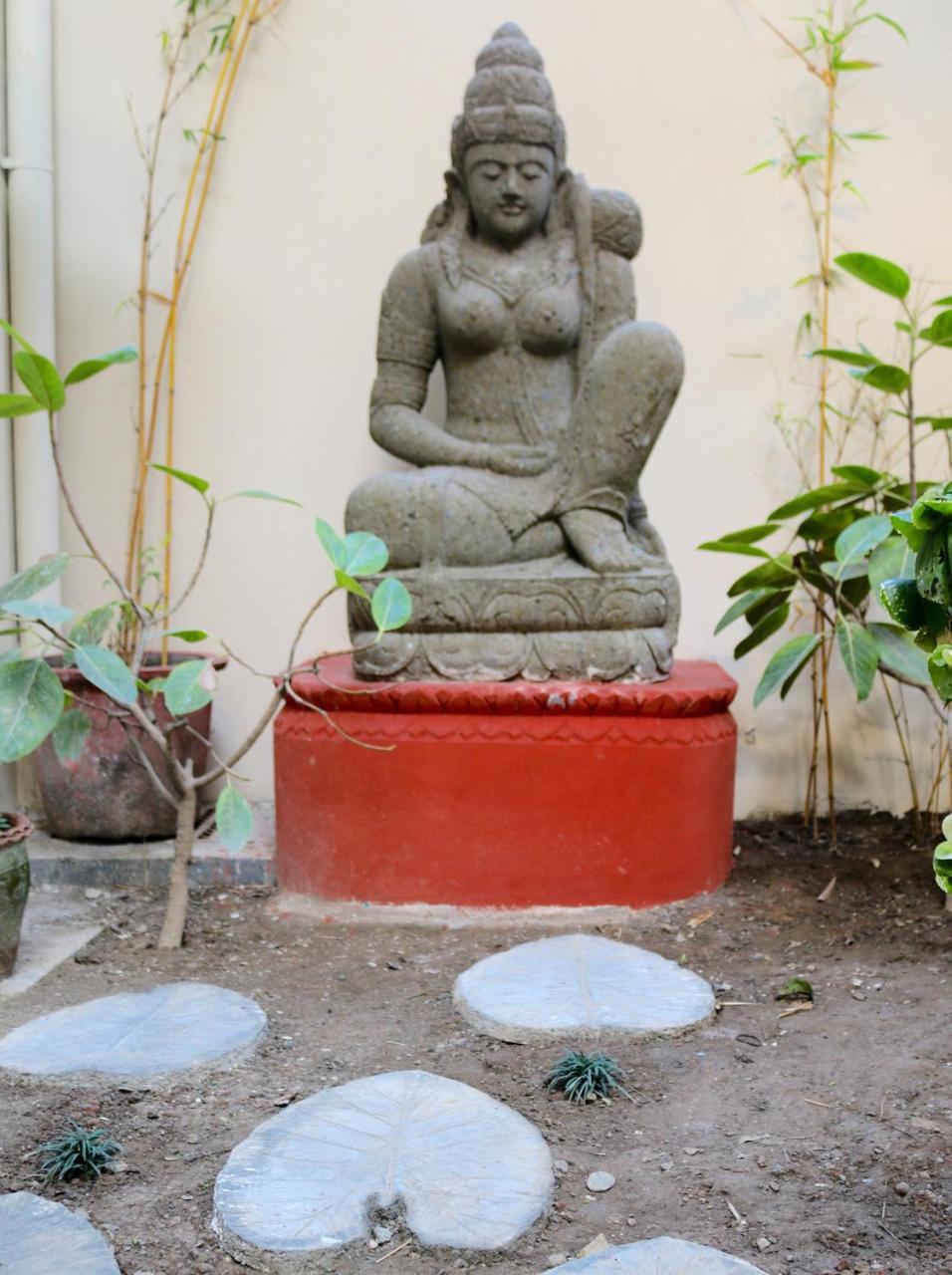 Hotel Mango Tree Courtyard Dehradun Esterno foto